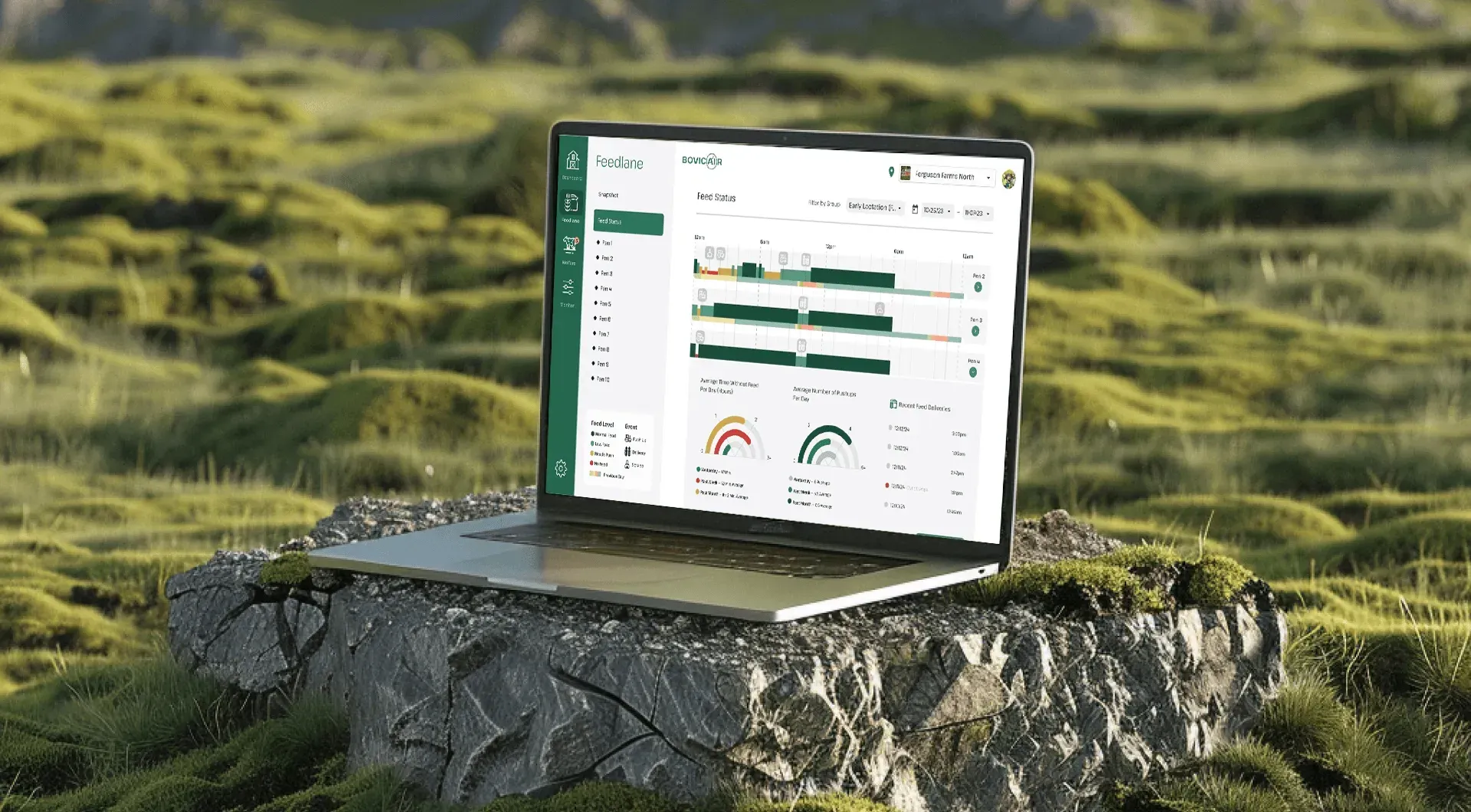 Interactivated solutions case study banner