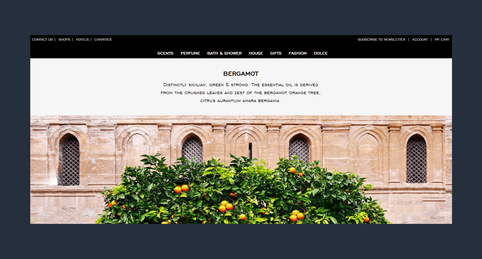 Interactivated solutions case study banner